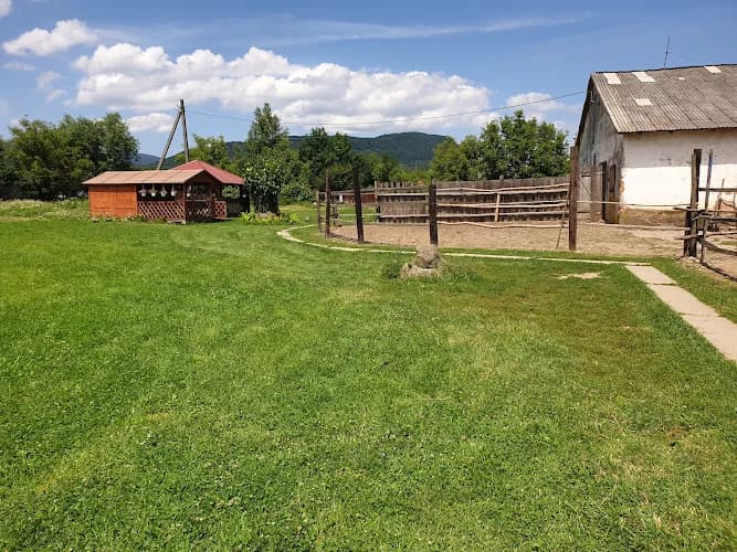 Ostrich farm