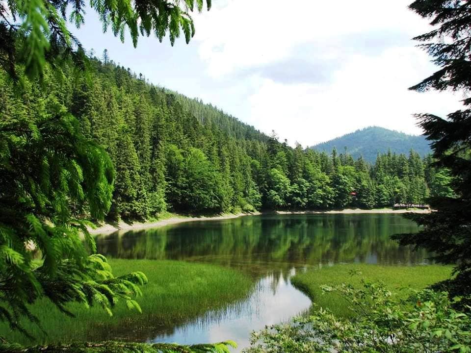Як доїхати на Синевир