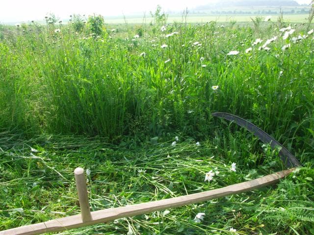 Етно фестиваль косарів на Хустщині