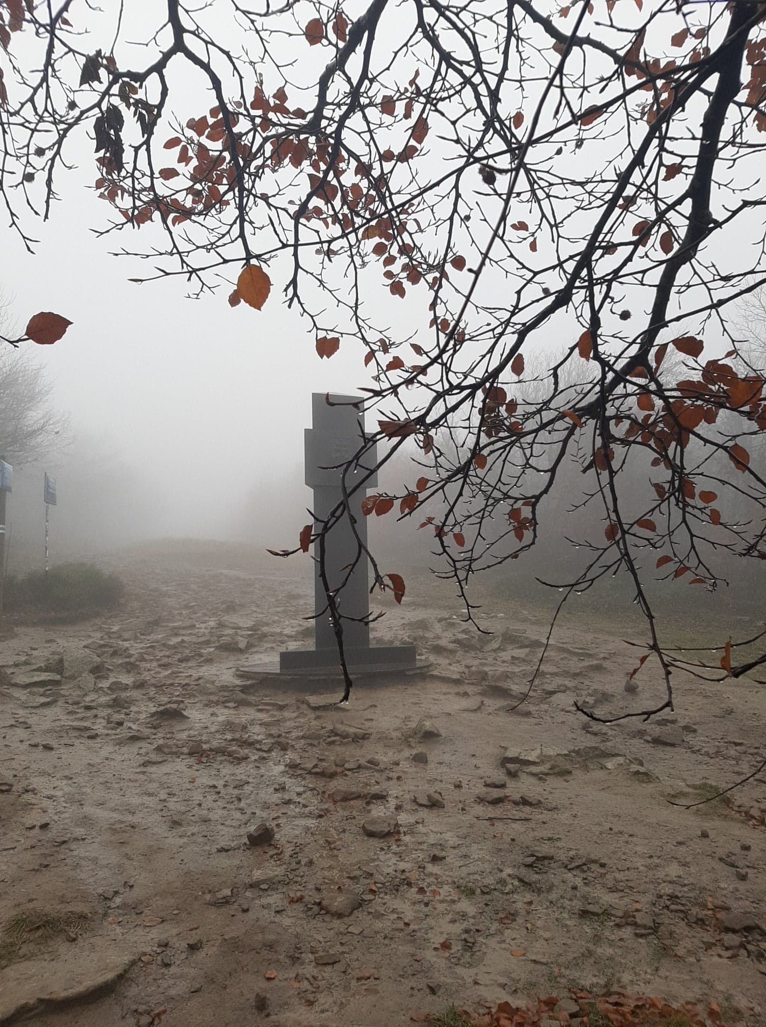 Туристичні маршрути УНПП — маршрут до гори Кременець