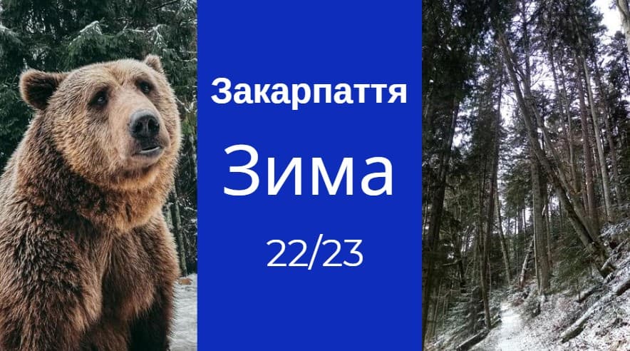 Зимовий туристичний сезон Закарпаття йде по песимістичному сценарію