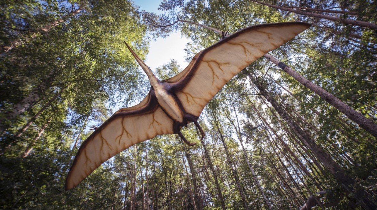 DinoPark Берегово – понад 30 доісторичних динозаврів