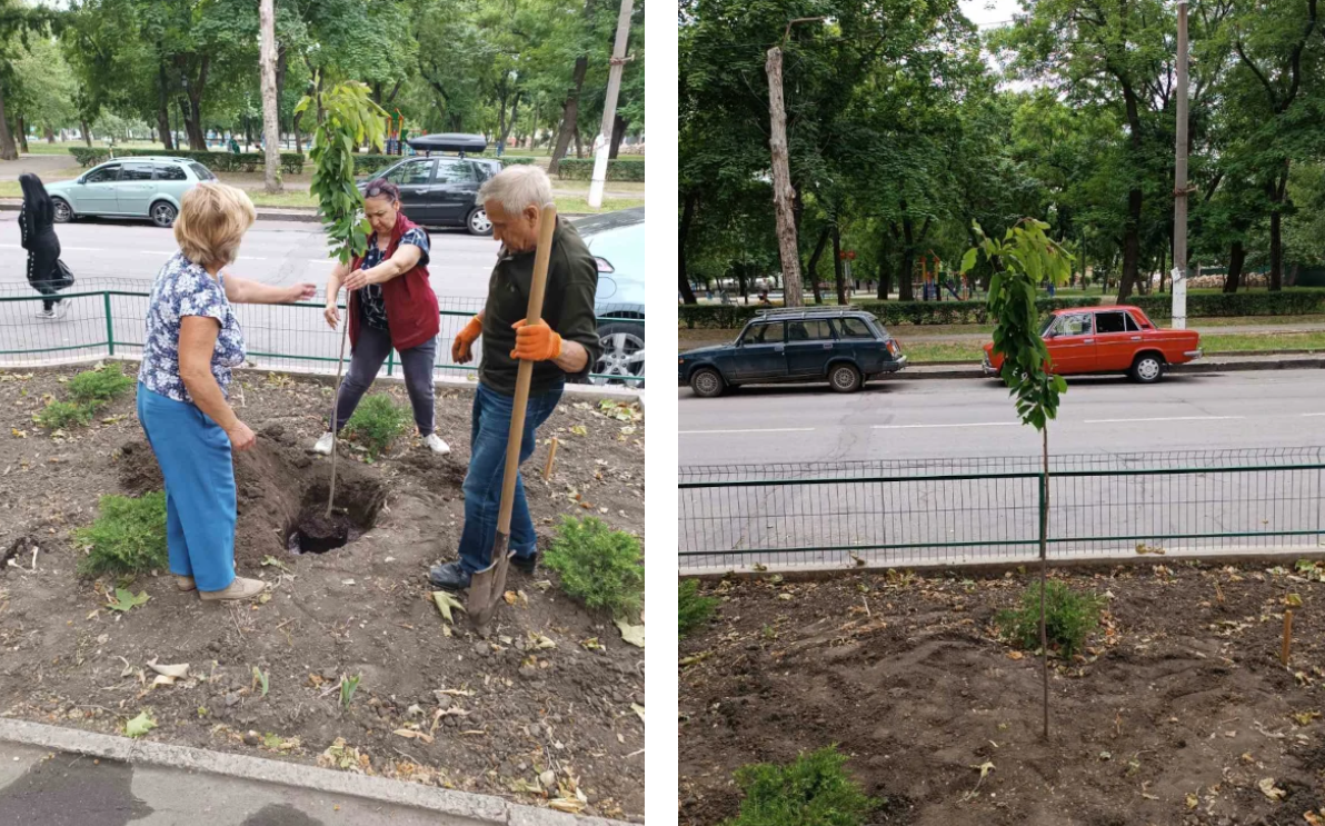 Акція «Сакура Закарпаття – 100 років» проведена в містах України