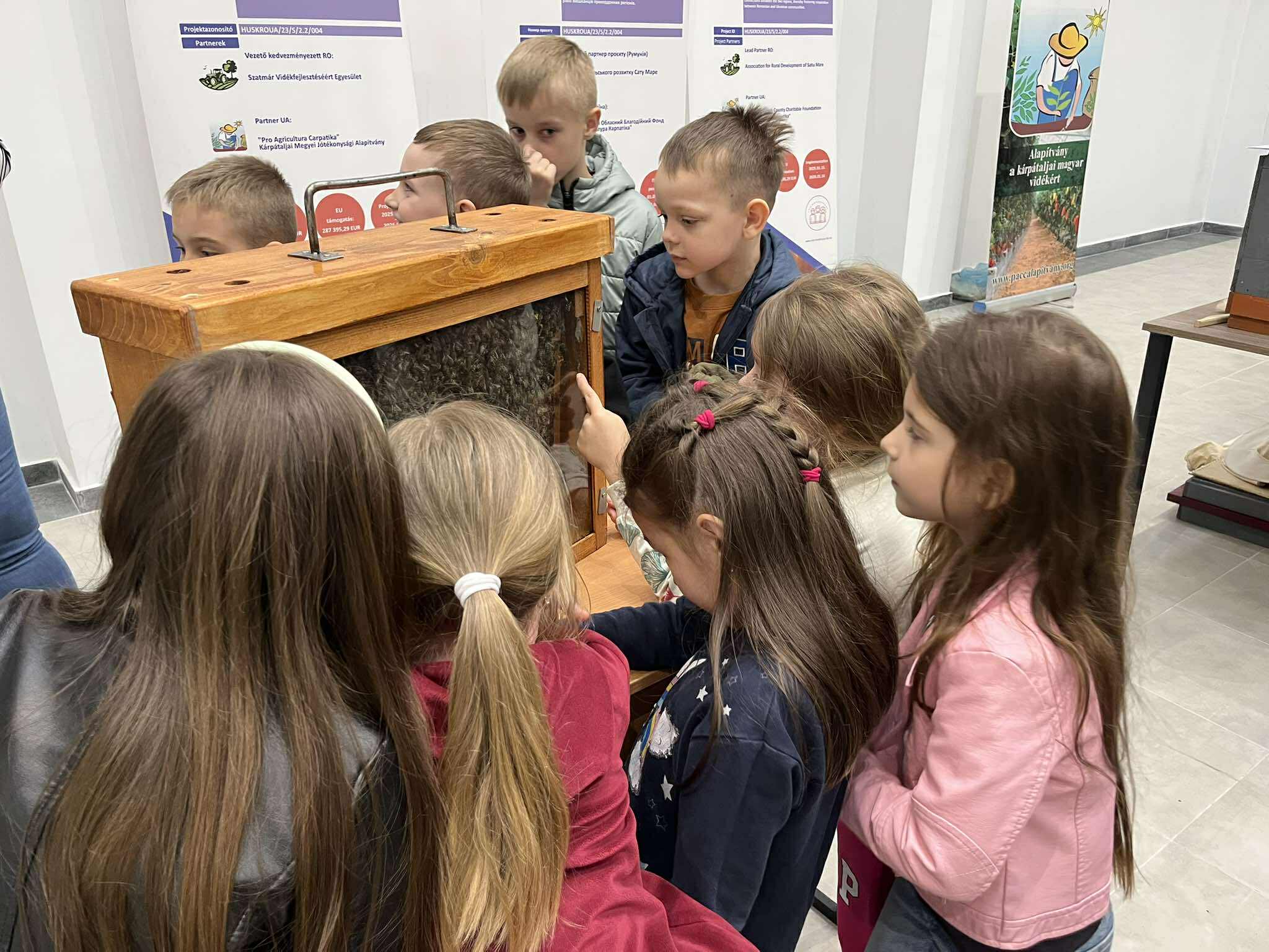 Збереження спільних ремесел і традицій: підсумки транскордонного проєкту Закарпаття – Сату-Маре