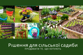 дизайн садиби