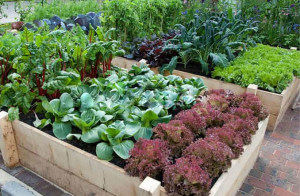 дизайн садиби